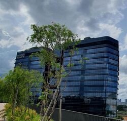 Woods Square (D25), Office #521960871